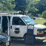 Is Mold Making You Sick? What Every Homeowner Needs to Know