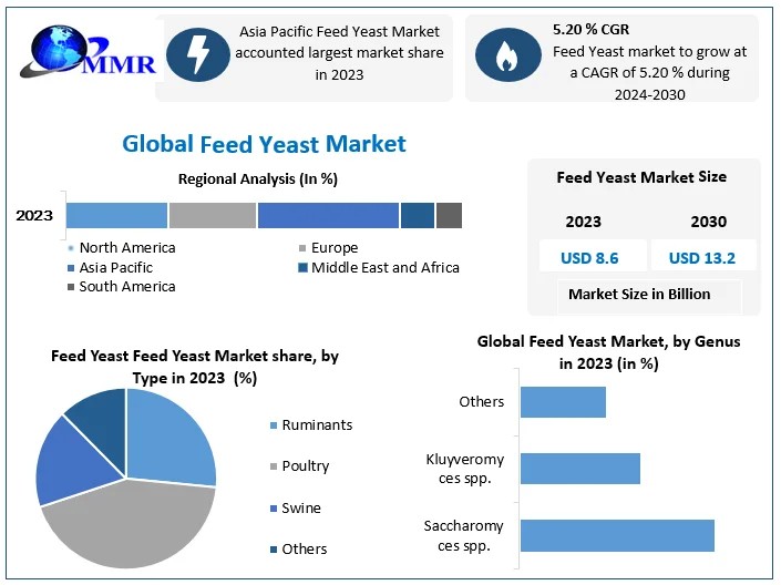 Feed Yeast Market Analysis and Future Opportunities