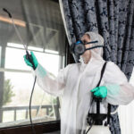 DIY vs Professional Rodent Control Lexington: Which Option Works Best?