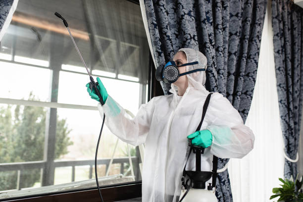 DIY vs Professional Rodent Control Lexington: Which Option Works Best?