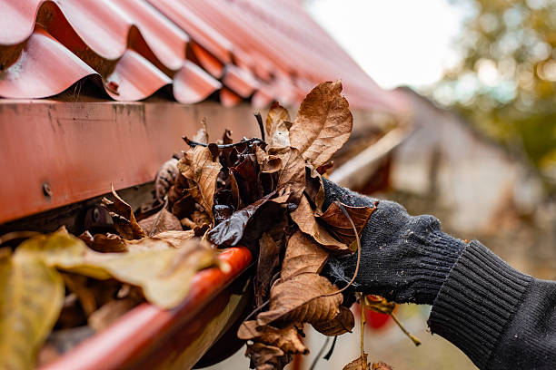 Why Gutter Cleaning in Newcastle Is Essential for Every Homeowner