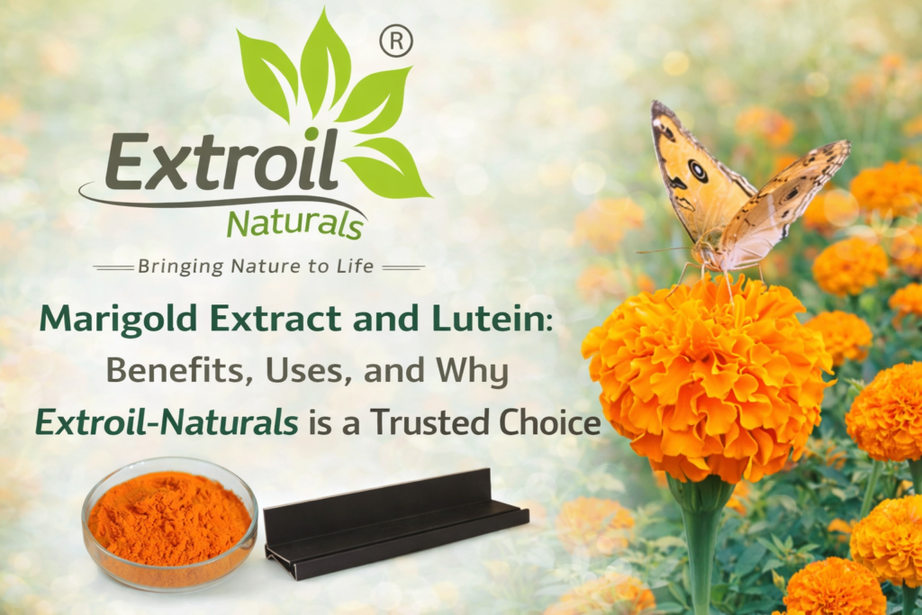 Marigold Extract and Lutein: Benefits, Uses, and Why Extroil-Naturals is a Trusted Choice