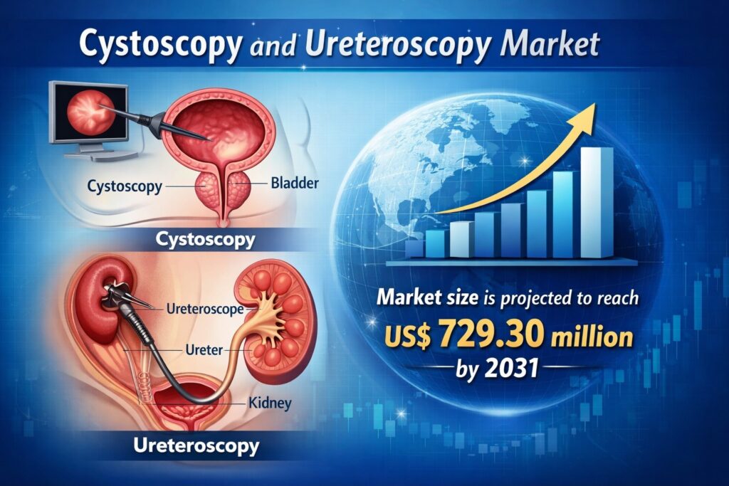 Cystoscopy and Ureteroscopy Market Outlook 2031: Growth, Analysis, and Trends