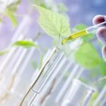 Thermal Pallet Covers for Pharmaceutical Application Market Growth Drivers and Opportunity Analysis Shaping Industry Demand by 2034