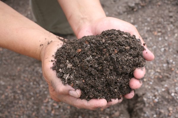 How Do Professionals Use Screened Topsoil for Best Results