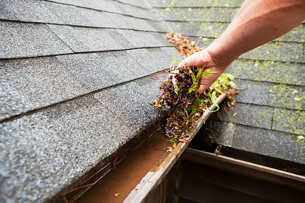 The Hidden Dangers of Ignoring Gutter Cleaning in Newcastle