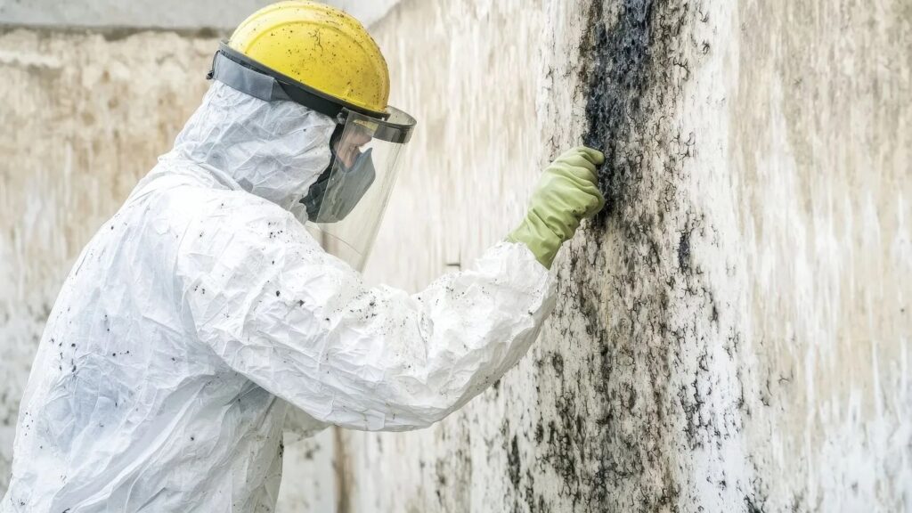 Professional Mold Remediation Services in Pawtucket RI