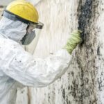 Professional Mold Remediation Services in Pawtucket RI