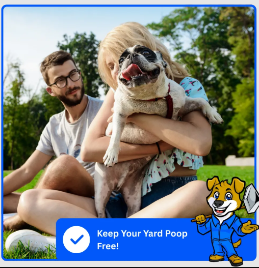 Best Dog Pooper Scooper Service for a Clean & Healthy Yard