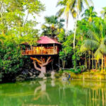 Discover the Best Homestay Near Kolkata for a Cozy Getaway