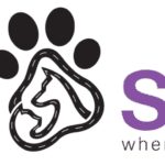 Where Can You Find Highly-Rated Dog Groomers in Dub