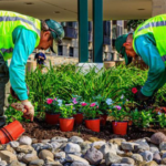 Commercial Landscaping Company Southlake TX Services Guide