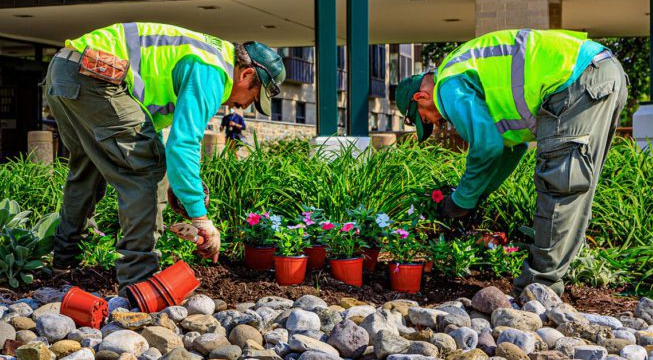 Commercial Landscaping Company Southlake TX Services Guide