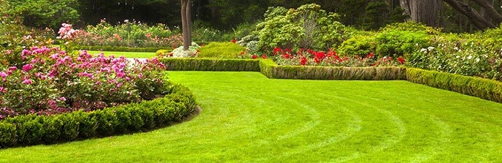 Affordable Lawn Mowing Kingsford for a Perfect Outdoor Space