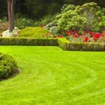 Affordable Lawn Mowing Kingsford for a Perfect Outdoor Space