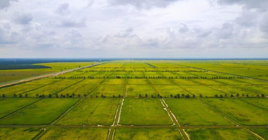 Mahindra Green Estates – A Reliable Plot Project in Chennai