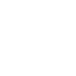 Professional Roof Maintenance Services