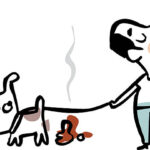 Pet Stain Odor Removal Ashburn Services by Cardinal Cleaning Solution