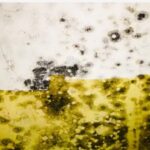 Black Mold Removal in Binghamton NY: Protecting Your Property and Health
