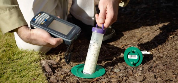 EFFECTIVE AND SUSTAINABLE PEST MANAGEMENT FOR MODERN PROPERTIES