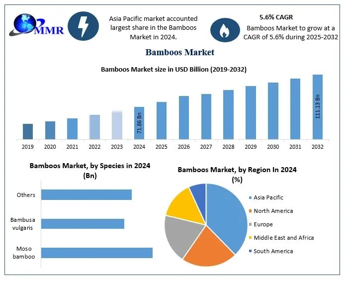 Bamboos Market Analysis: Growth Drivers & Opportunities