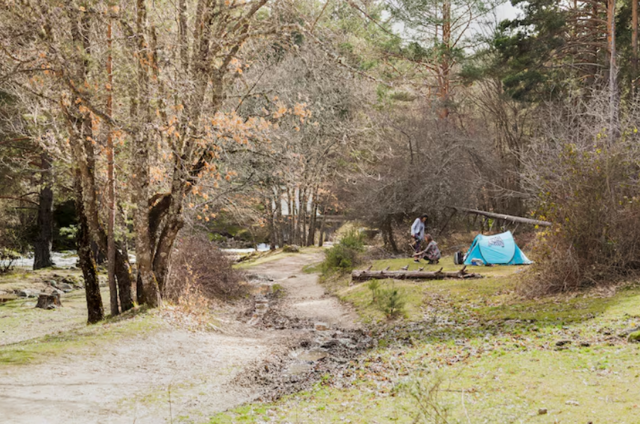 Experience Coastal Comfort at a Luxury RV Park Steinhatchee FL