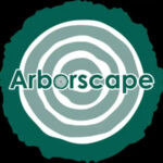 Tree Surgeon Near Me: Why Arboscape UK Is Your Trusted Choice for Professional Tree Care
