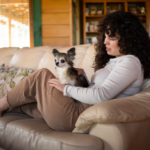 The Ultimate Guide to Cat Sitting in Mandarin Jacksonville and Pet Sitting in Southside Jacksonville