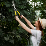 The Benefits of Stump Grinding and Tree Trimming Services in Spanish Fort, AL