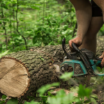 Tree Removal in West Mobile, AL: Essential Services for a Healthier Landscape