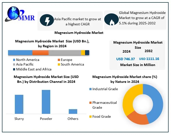 Magnesium Hydroxide Market Demand Trends and Revenue Forecast 2025-2032