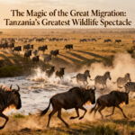 The Magic of the Great Migration: Tanzania’s Greatest Wildlife Spectacle