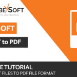 Can You Convert .pst to PDF with Attachment?