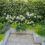 How Contemporary Garden Design Suffolk Enhances Property Value and Lifestyle