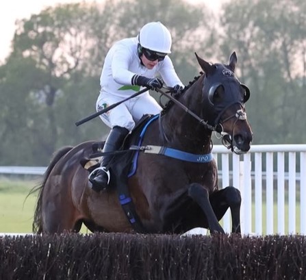 Latest India Horse Race Result Updates from Hyderabad Races