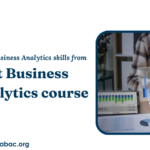 What Skills Does the Best Business Analytics Course Teach You?