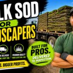 Commercial Sod Supplier Tampa