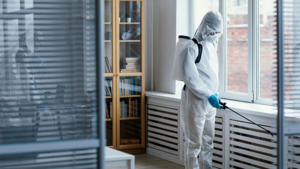 How Termite Treatment in Philadelphia by Experts Help to Keep Your Asset Safe?