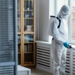 How Termite Treatment in Philadelphia by Experts Help to Keep Your Asset Safe?