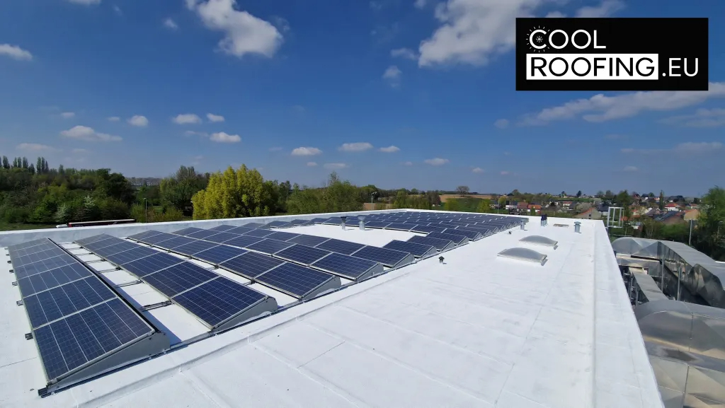 Dak Wit Verven: Slimme Oplossing Tegen Hitte En Hoge Energiekosten