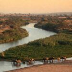Benin eVisa Documentation for Grenada Travelers