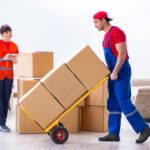 Master Your Move with Expert Relocation Strategies Today