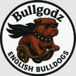 Bulldog Puppy Guarantee: What to Expect from a Responsible Breeder