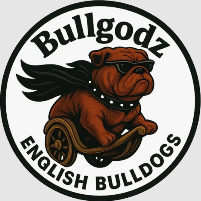 Bulldog Puppy Guarantee: What to Expect from a Responsible Breeder
