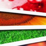 Bring Your Brand to Life with Smart Print Design