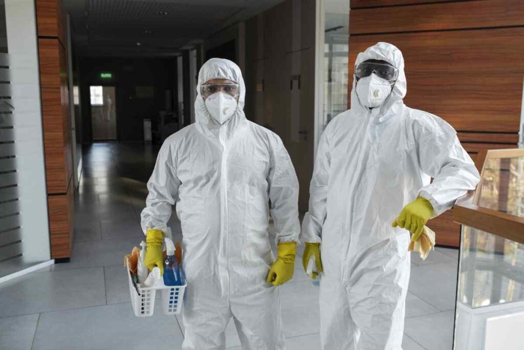 Find the Best Mold Remediation Companies Near You