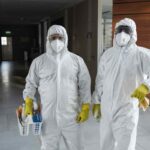 Find the Best Mold Remediation Companies Near You