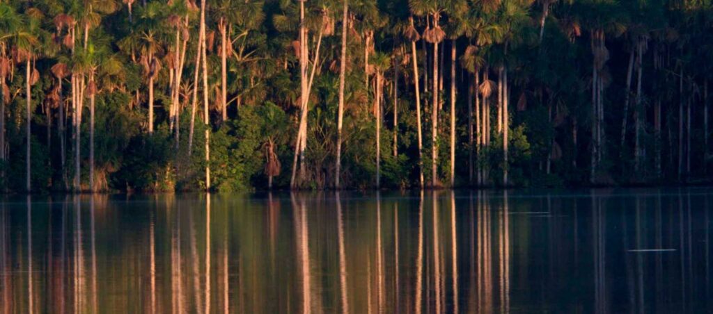 Why Is the Chuncho Macaw Clay Lick Tour a Must-See Experience in the Amazon?