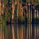 Why Is the Chuncho Macaw Clay Lick Tour a Must-See Experience in the Amazon?