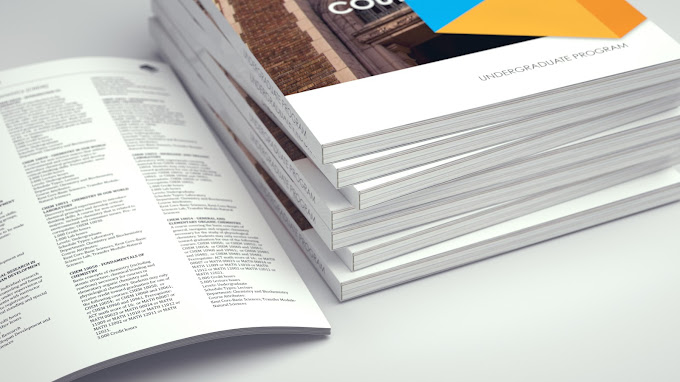 Transform Business Spaces With Stunning Visual Branding